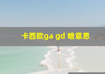 卡西欧ga gd 啥意思